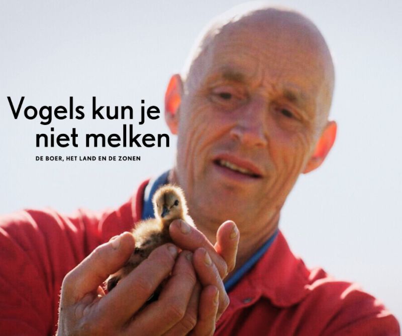 vogels